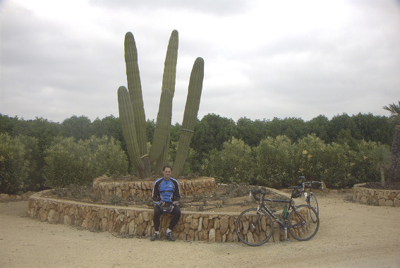 Botanicactus 4