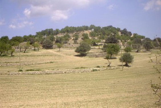 Landschaft