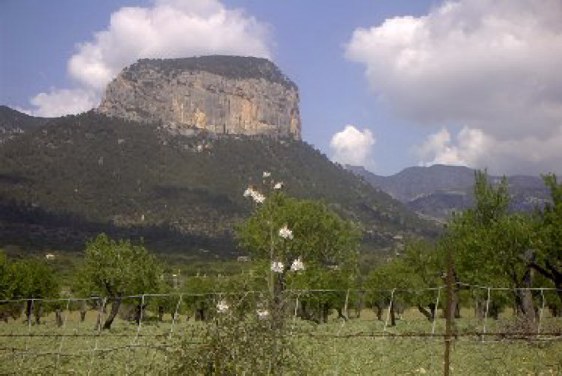 Tramuntana 1