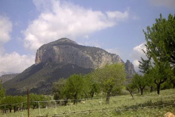 Tramuntana 2