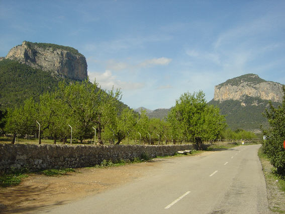 Tramuntana 6